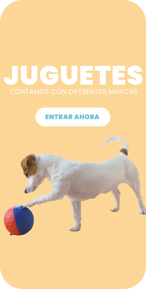 juguetes-para-mascotas-monterrey