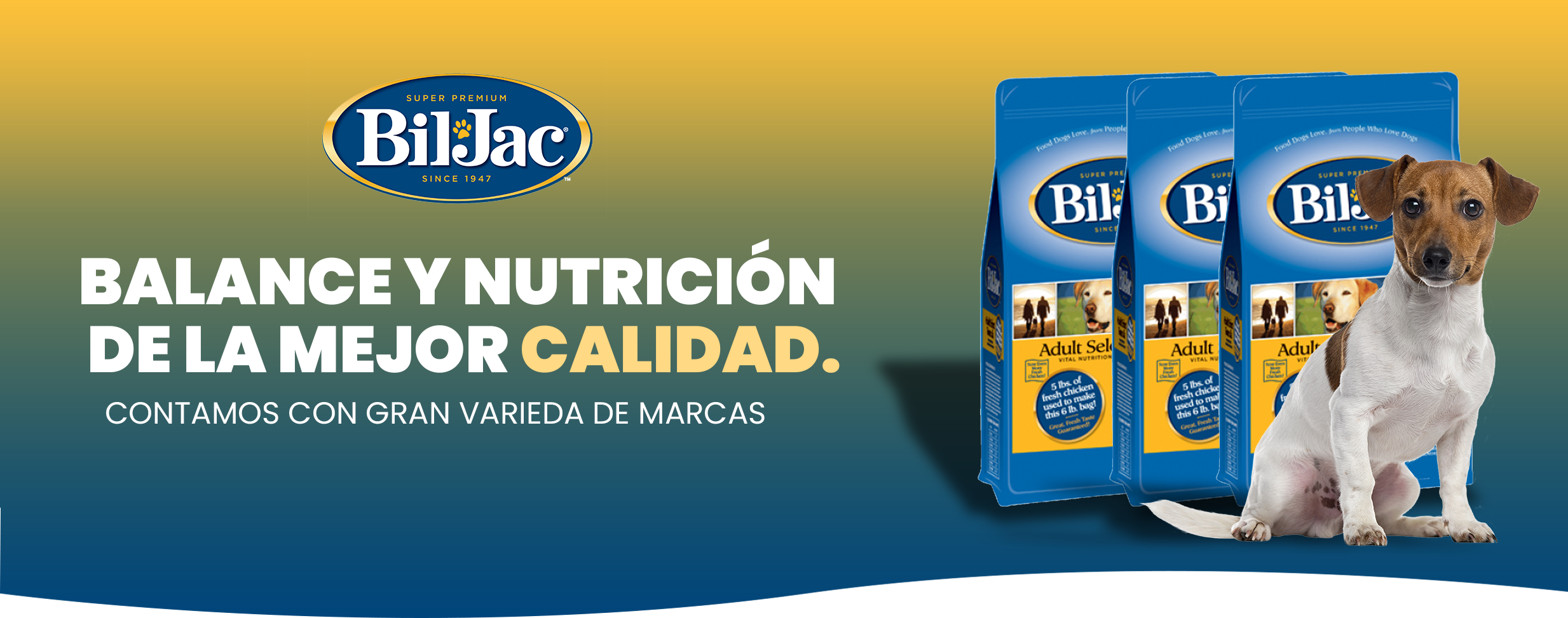 bijac monterrey 