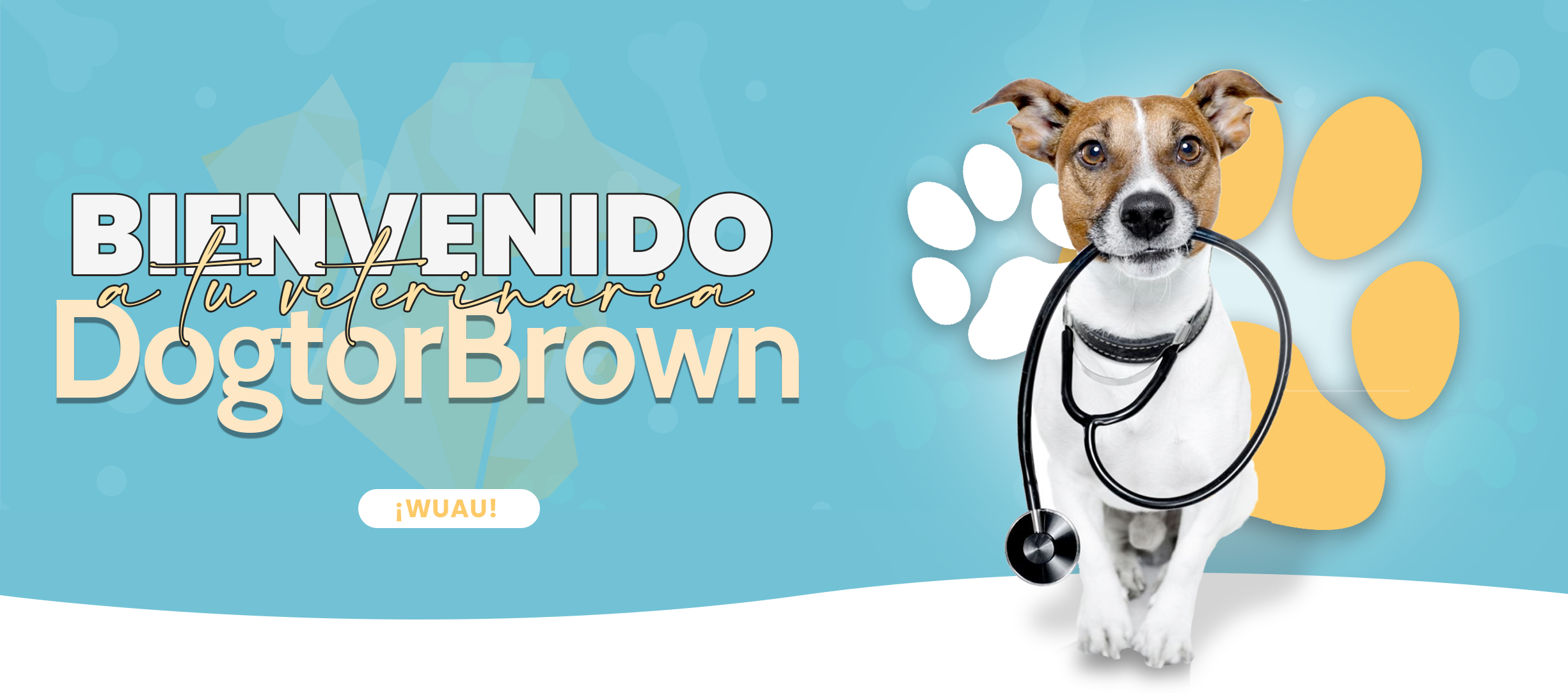 veterinaria dogtor brown monterrey