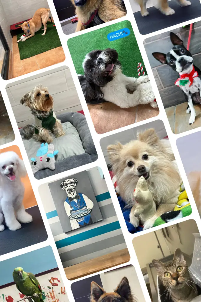 pastel minimalist fashion brand mood board photo collage